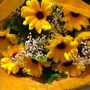 Meet your Posher, April